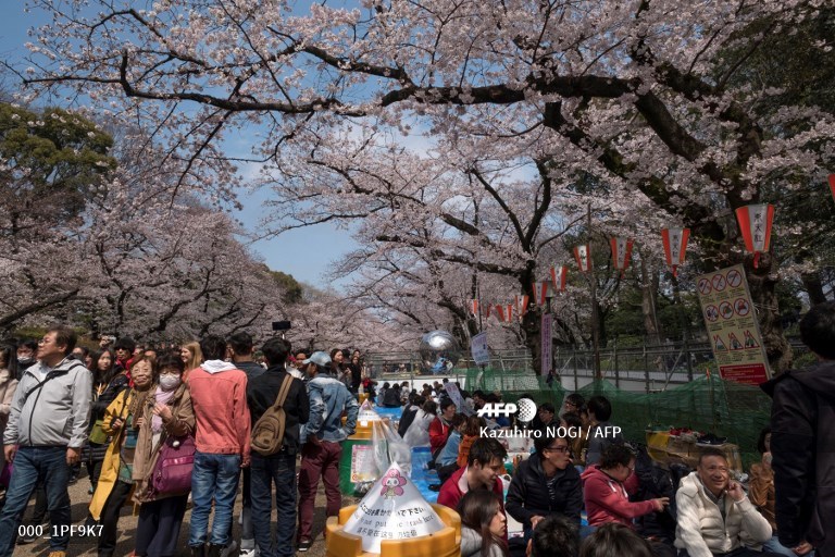 ပန်းပွဲတော်၁