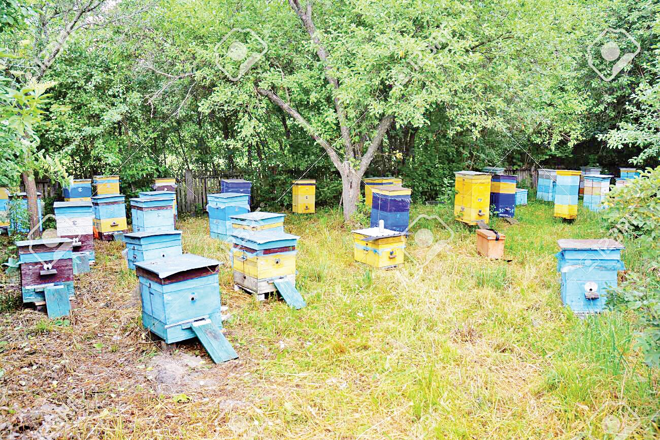 104290427_3036769666415900_731903506112502746_o