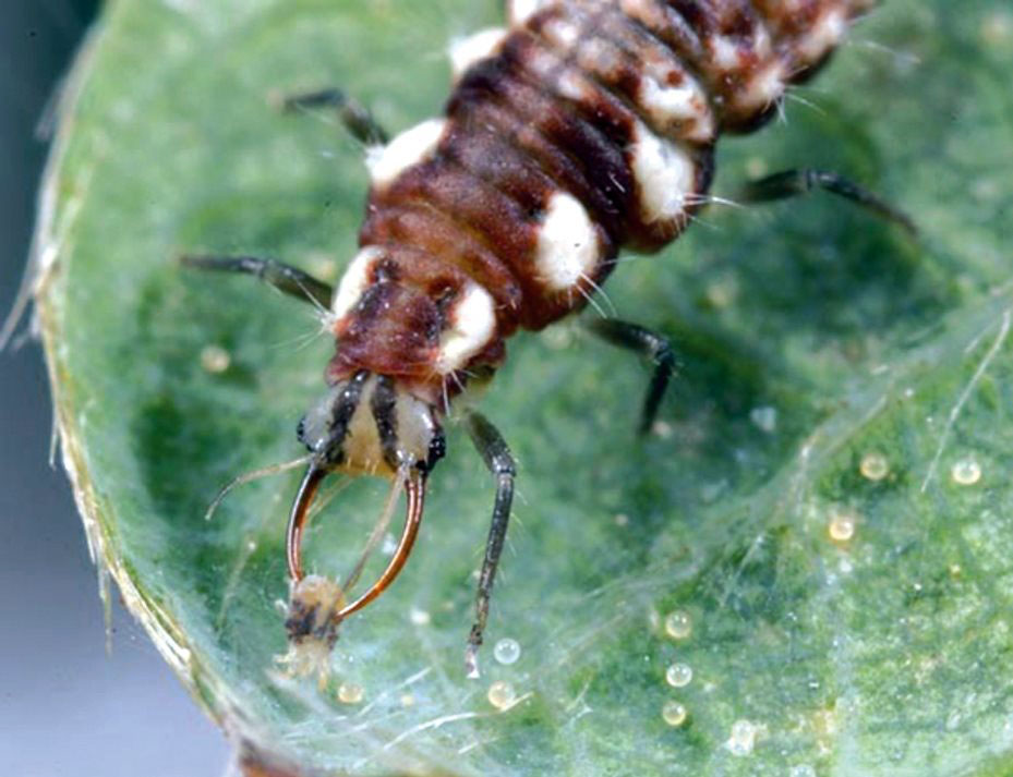 117284304_2651372788436546_3829614239543550342_n