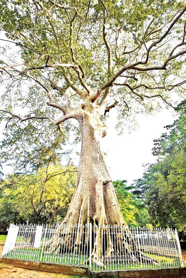 80685064_2638353266257544_5778797764267737088_o