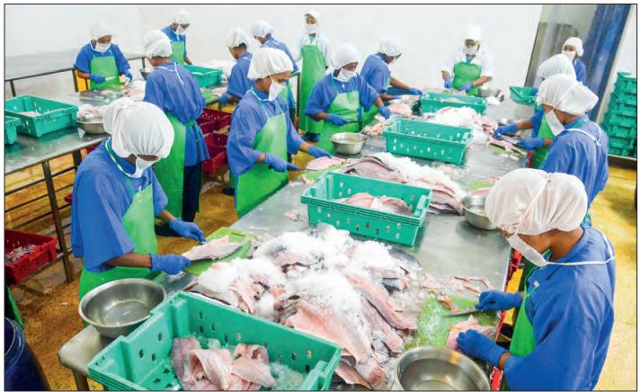 Exports of aquaculture products top $113.5 mln as of 17 June | Myanmar ...