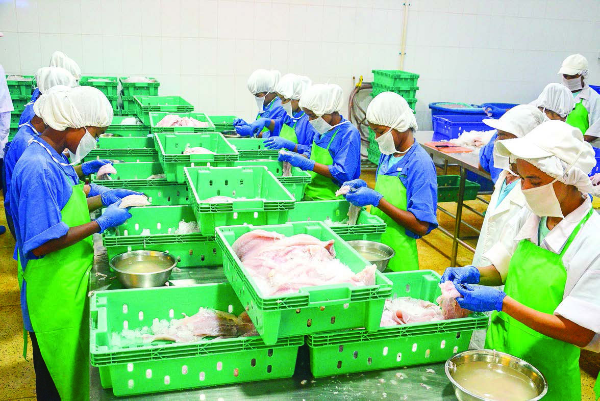 Myanmar’s fishery exports fetch over US$ 680 mln in current FY ...
